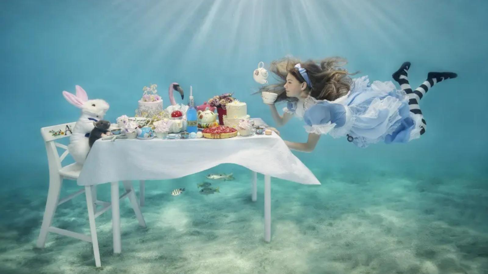 Podívejte se na ty nejlepší podvodní fotky roku 2023. Vítězem Ocean Art se stal makak při lovu pod hladinou