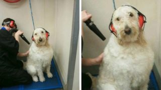 Mrkněte se na&nbsp;několik extrémně vtipných a&nbsp;zároveň praktických zlepšováků