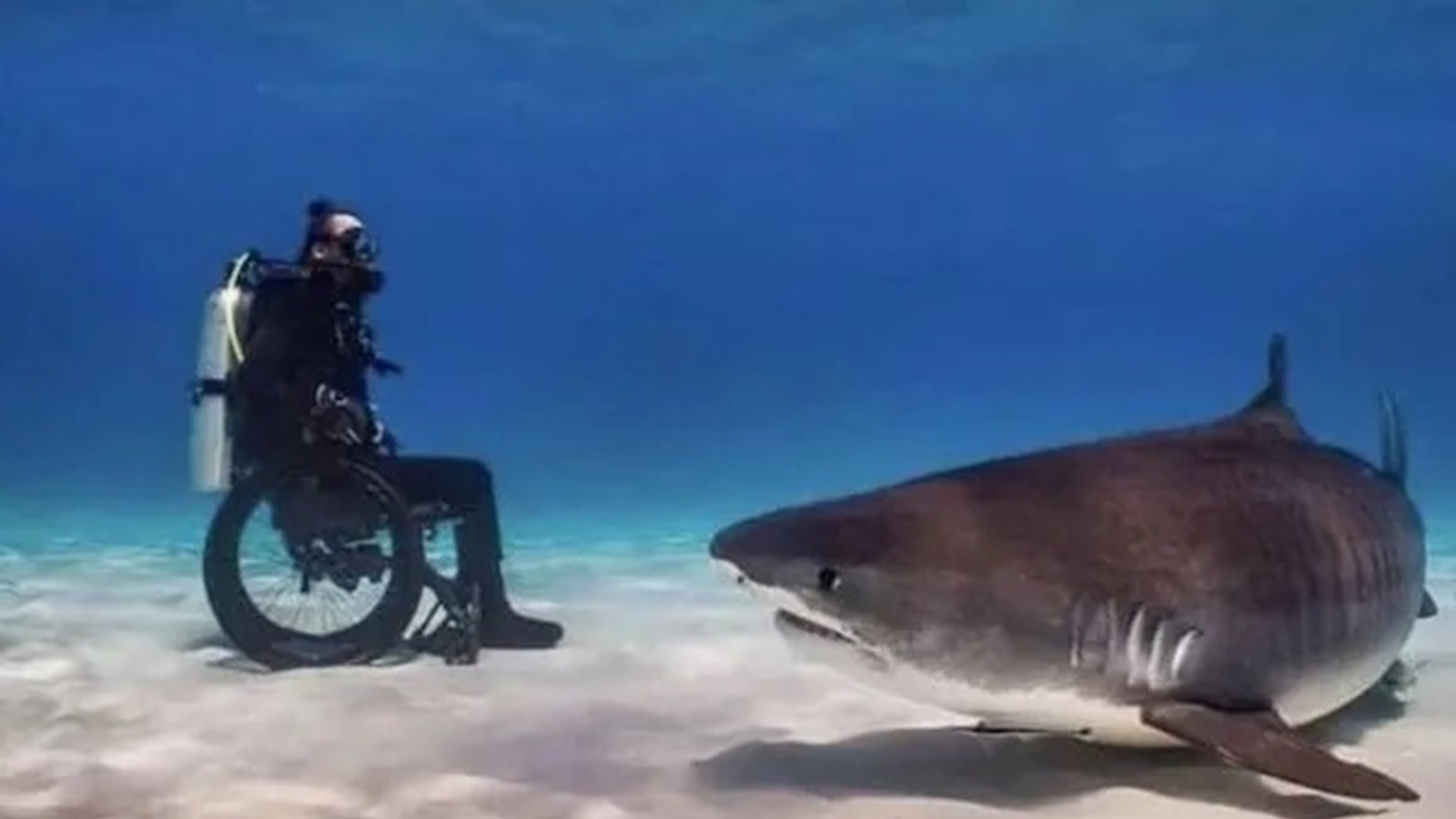 GALERIE: Den blbec? Tito lidé ví, o&nbsp;čem je řeč