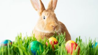 KVÍZ: Co všechno víte o&nbsp;Velikonocích?
