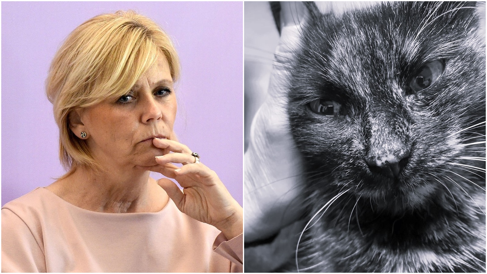 Eva Pavlová drží smutek. Zemřela jí milovaná kočka Micka