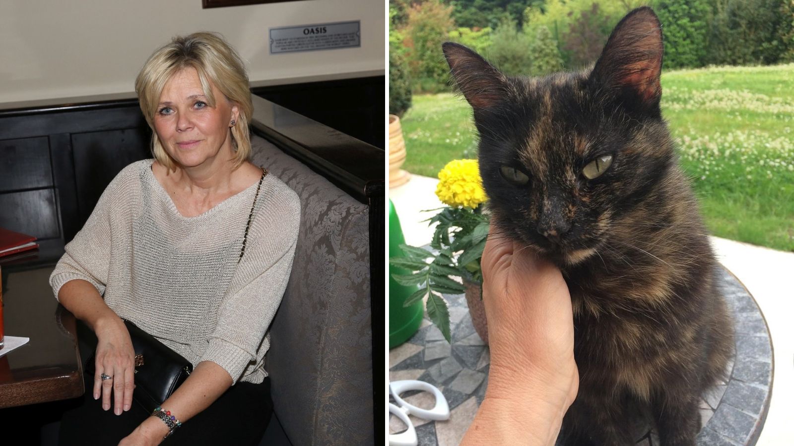 Eva Pavlová se poprvé vyjádřila k úmrtí jejich milované kočky. Micka odešla s pohlazením