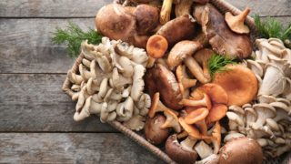 KVÍZ pro&nbsp;všechny houbaře: Jak dobře se vyznáte v&nbsp;houbách?