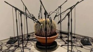 GALERIE: Co se to…?! Několik fotografií, které prostě nepochopíte