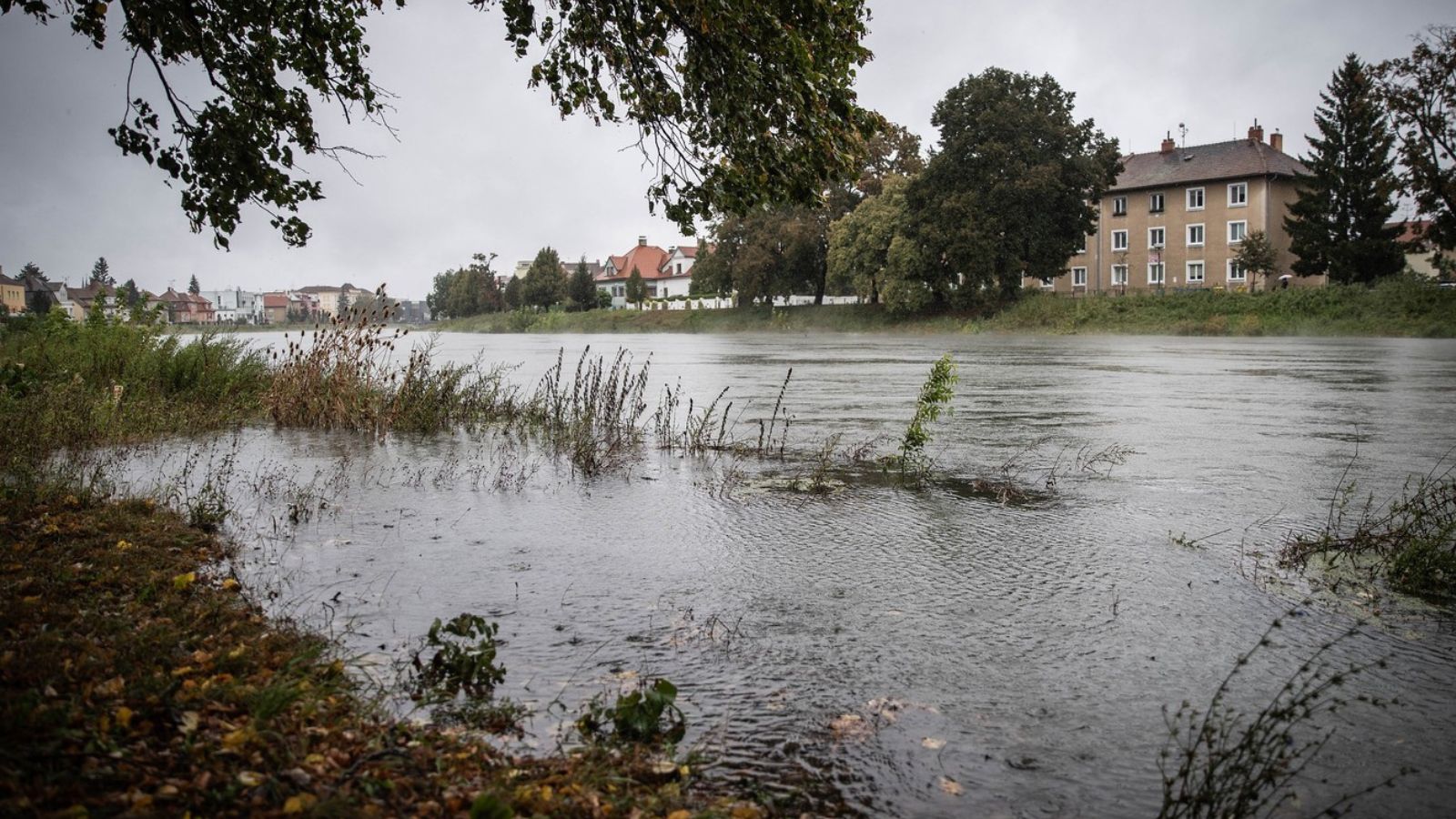 Pršet bude až do pondělí, absorpční schopnosti půdy už se ale naplnily