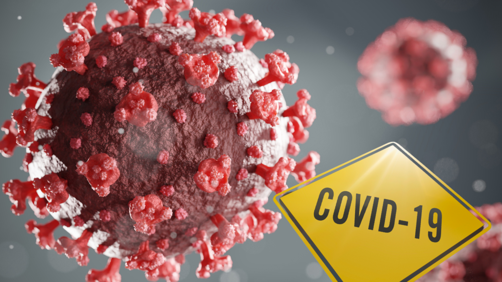 Covid-19 opět mutuje: Nakažlivější varianta XEC rychle nabírá na síle