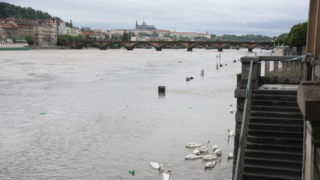 Vláda prodloužila nasazení vojáků: Až 1000 členů armády bude pokračovat v&nbsp;likvidaci následků povodní