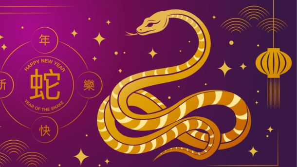 Velký astrologicko-karetní horoskop na rok 2025: Jak vaše znamení ovlivní rok Hada?