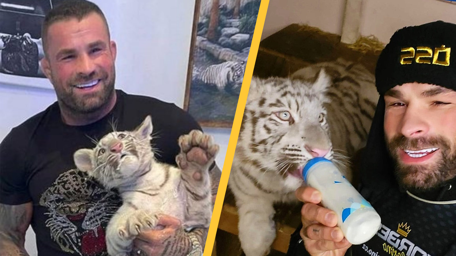 Karlos Vémola v&nbsp;slzách: Nevím, jestli moje tygřice ještě žije