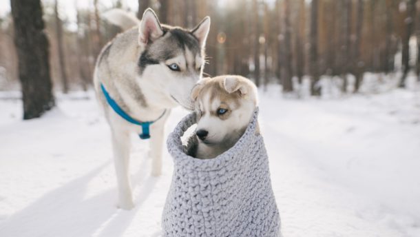 HOROSKOPY: Ryby, důležitá rozhodnuti byste měli udělat hned, už není na&nbsp;co čekat