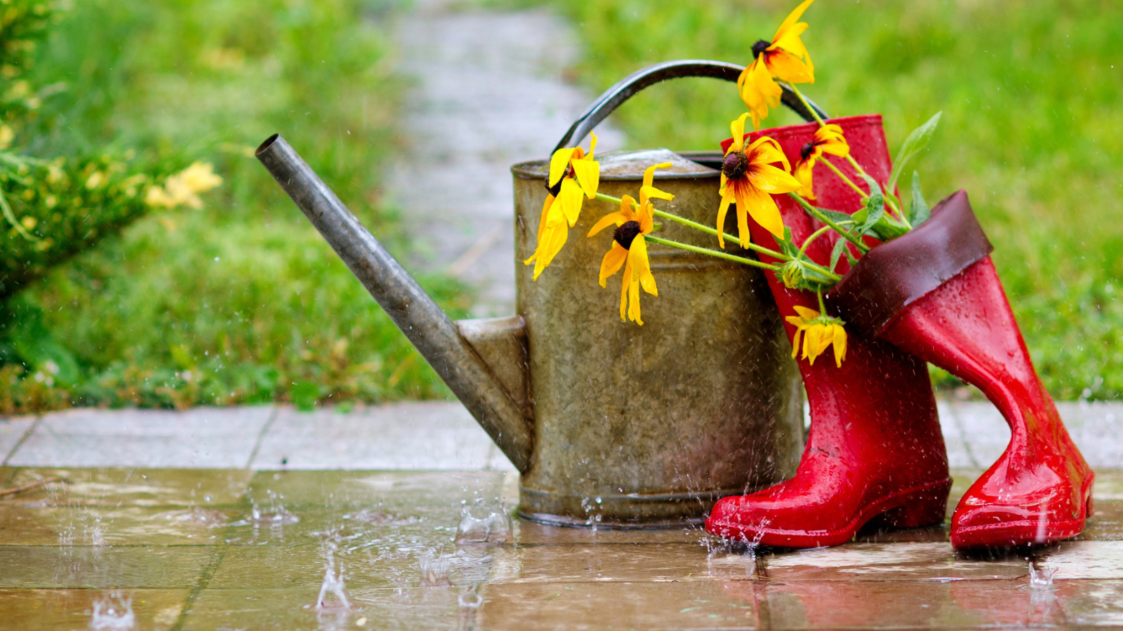 Velikonoční pondělí ve znamení silných bouřek. Které kraje by měly být na&nbsp;pozoru?