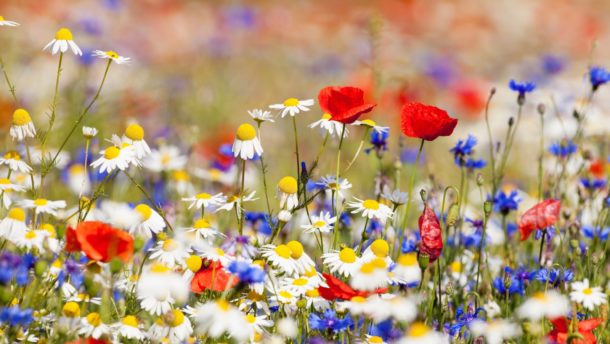 HOROSKOPY: Blíženci, všechno není jen o&nbsp;penězích, chce to partnerské vnímavosti