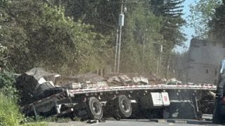 Nehoda v&nbsp;USA vypustila do volné přírody čtvrt miliardy včel