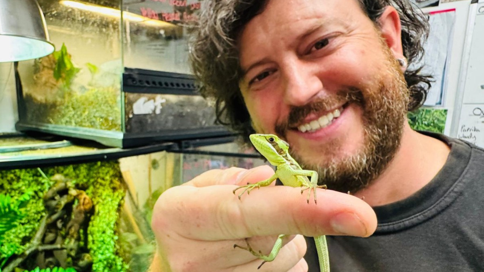 Bez samce, bez otce. Samička baziliška v anglické zoo přivedla na svět mláďata díky panenskému porodu