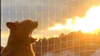 Několik momentek, které ukazují, že realita je plná absurdit