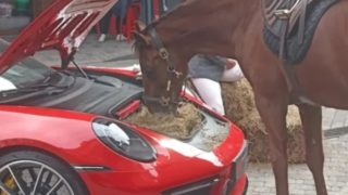 GALERIE: Skutečný bizár? Když realita trumfne i&nbsp;umělou inteligenci