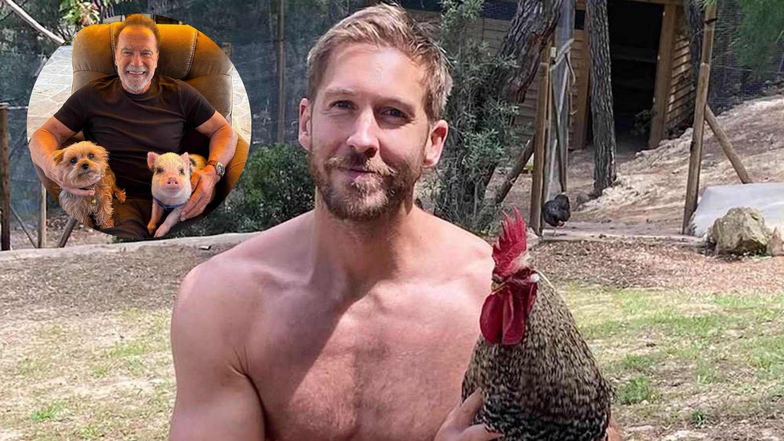 Mezinárodní den domácích mazlíčků! Jak tuto událost slaví české i světové celebrity?