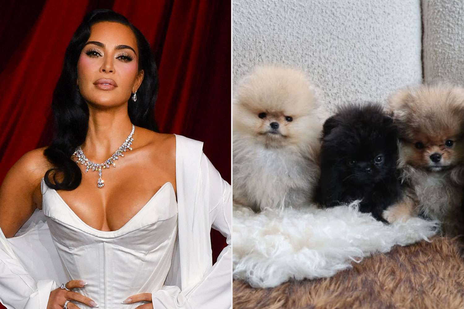 PETA kritizuje Kim Kardashian: Každému ze čtyř dětí dala k Vánocům vlastního psa