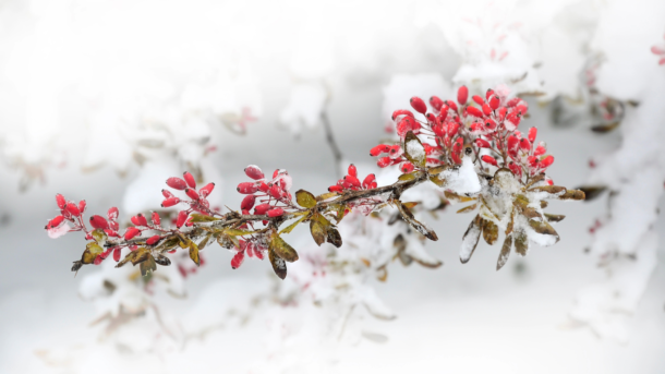 HOROSKOPY: Býci, radost vám udělá partner i&nbsp;rodina, volný průběh má mít láska