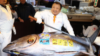 Koupili byste si tuňáka za 67 milionů korun? Jeho majitel doufal v&nbsp;nižší částku