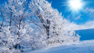 HOROSKOPY: Kozorozi, k&nbsp;potřebám partnera buďte vnímavější. Máte, co dohánět