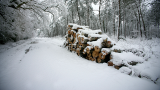 HOROSKOPY: Ryby, pracovní i&nbsp;milostný život vypadá nadějně. Naplňujete svůj osud