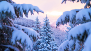 HOROSKOPY: Blíženci, láska je složitější než matematika. Vsaďte na&nbsp;intuici!