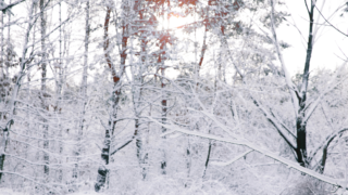 HOROSKOPY: Štíři, Luna je ve vašem znamení, jste sexy a&nbsp;láska vám přeje