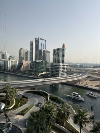 Čech uvízlý v&nbsp;Dubaji: DROZD příliš nefunguje, sliby politiků jsou podle mě plané