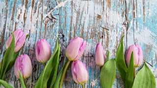 HOROSKOPY: Ryby, hvězdy jsou vám nakloněny, vaše oblíbenost stoupá. Nezneužívejte