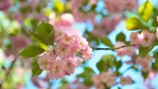 HOROSKOPY: Lvi, vaše nálady se rychle mění, setkáte se s&nbsp;úsměvy i&nbsp;hněvem