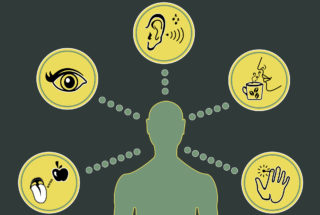 KVÍZ: Vyznáte se v&nbsp;lidských smyslech? Čeká na&nbsp;vás 9 záludných otázek