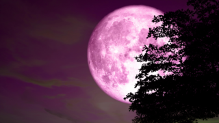 Růžový dubnový úplněk je tady! Je spojen s&nbsp;harmonií a&nbsp;vztahy a&nbsp;vybízí k&nbsp;restartu