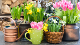 HOROSKOPY: Štíři, všechna lidská srdce jsou vám otevřena. Jste vnímaví