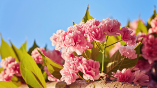 HOROSKOPY: Panny, dnešek ovlivní vaší náladu. Jak se budete chovat k&nbsp;druhým, tak se oni budou chovat k&nbsp;vám