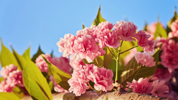 HOROSKOPY: Panny, dnešek ovlivní vaší náladu. Jak se budete chovat k&nbsp;druhým, tak se oni budou chovat k&nbsp;vám