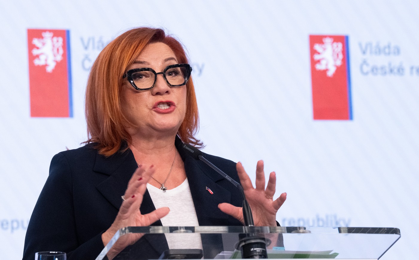 Vláda schválila rozpočet se schodkem 386 miliard korun, platy porostou