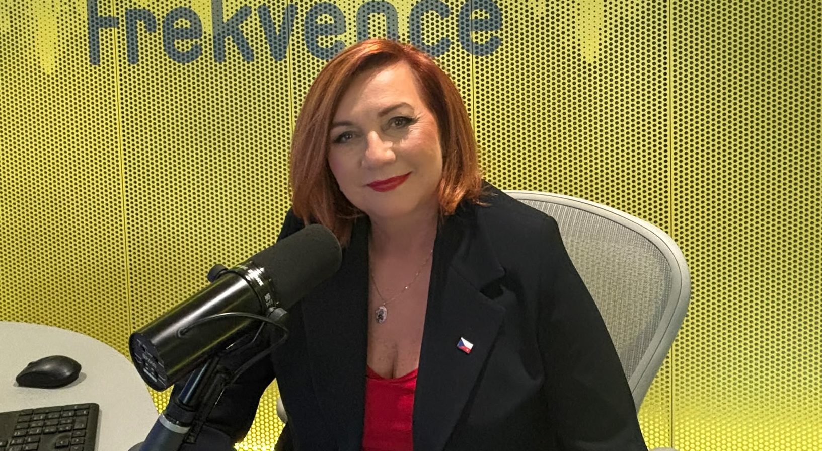 Schillerová v&nbsp;Press klubu: Banky by měly přispět k&nbsp;dostupnému bydlení