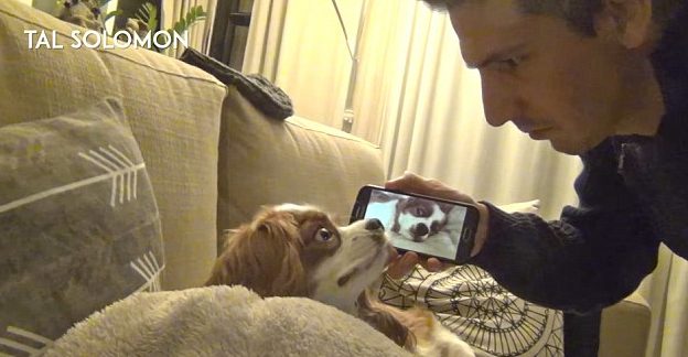 Muž natočil svého psa, jak chrápe! Pak mu video pustil. Jeho reakce je boží