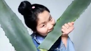 VIDEO: Blogerka se otrávila v&nbsp;přímém přenosu! Udělala zásadní chybu