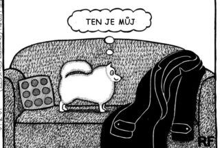 Poznáváte se v tom? 7 ilustrací, které krásně znázorňují, jaké je to být psím rodičem