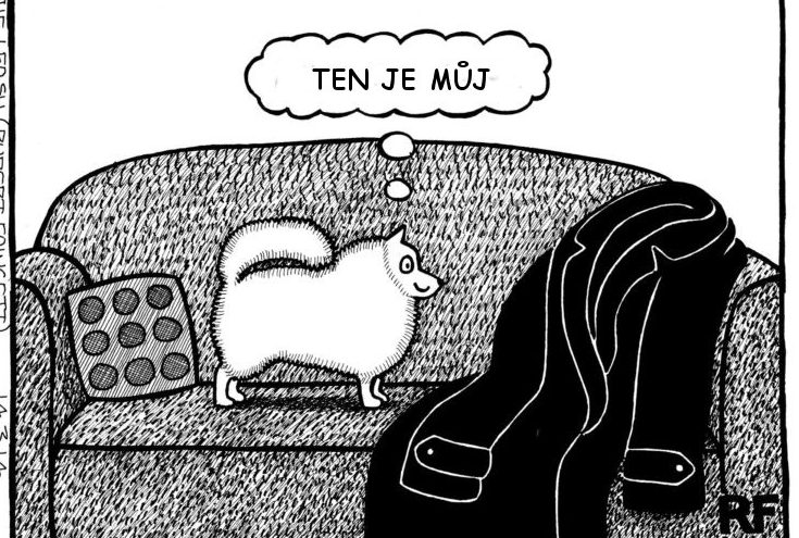 Poznáváte se v tom? 7 ilustrací, které krásně znázorňují, jaké je to být psím rodičem