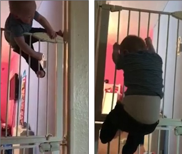 VIDEO: Dítě přelezlo hned dvě bezpečnostní branky! “Máme doma kouzelníka,” chlubí se matka