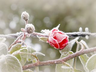Frekvence 1 zjistila: Zima se začne postupně hlásit o&nbsp;své slovo!