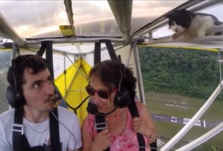 VIDEO: Kočka se proletěla na&nbsp;ultralightu! Nečekaný výlet přežila