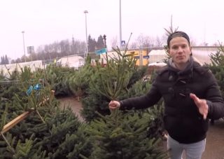 VIDEO: Rady, jak správně nakoupit vánoční stromek!