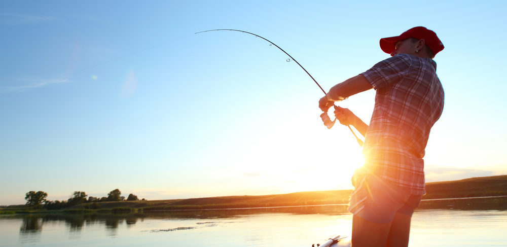 Je to ryba? Nebo drak? Rybáři z&nbsp;vody vylovili dvě podivná stvoření