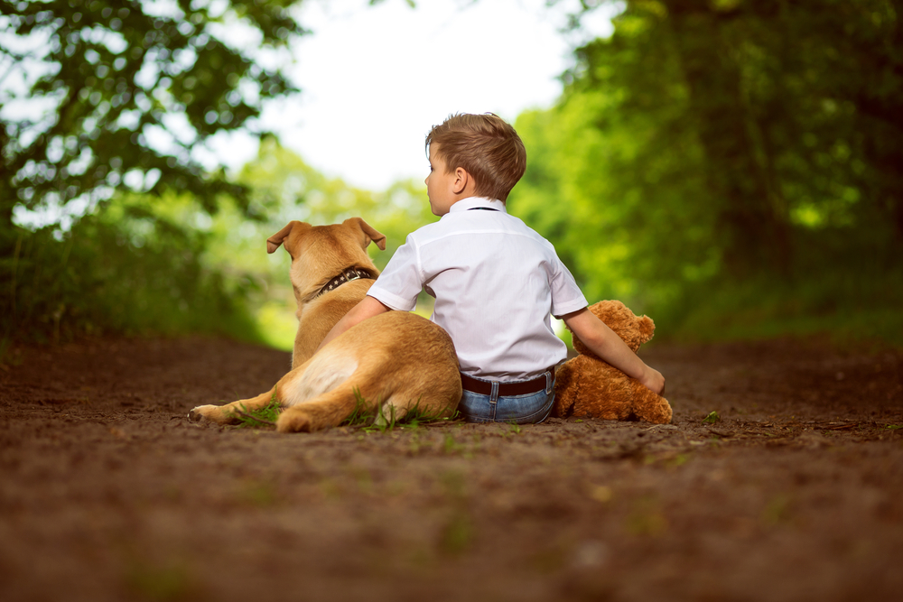 Pokousání psem: 11 věcí, kterým se vyvarovat, aby to nepotkalo vaše dítě!