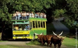 Honza Kraus o&nbsp;jízdě autem na&nbsp;safari ve Dvoře Králové