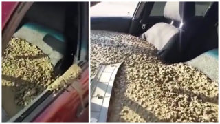 Žena vyměnila manželovo příjmení za jméno supermarketu. Co na&nbsp;to muž? Pomsta byla rafinovaná! VIDEO